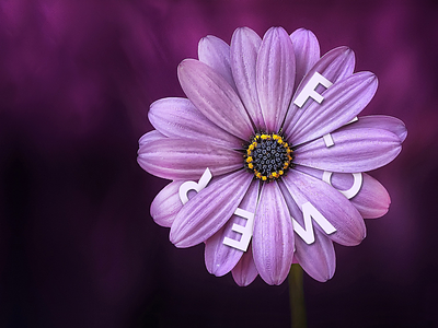 Cvetic banner flower graphic design integration design print social media post