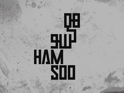 Hamsoo Typography branding design logo typography