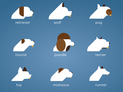 Dog icon concept app breed concept dog fitbark icon poodle race retriever terrier