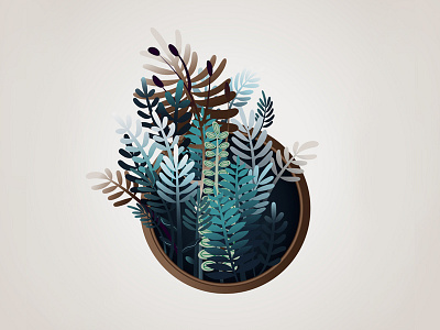 Herbs beautiful vector plants illustration illustrator vector