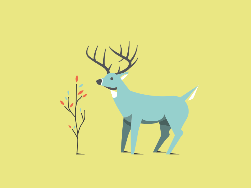 Deer GIF