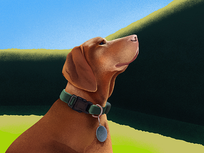 Majestic Dog animal collar design dog ginger illustration lawn portrait procreate puppy