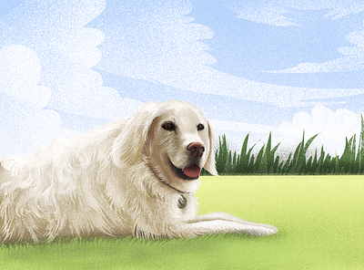 Chillin Dog animal dog golden illustration labrador pet portrait procreate retriever texture