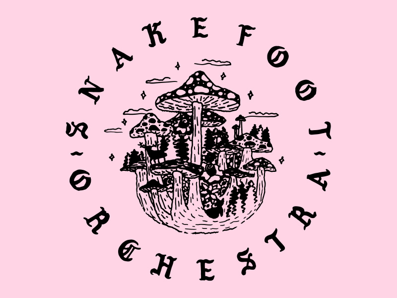 Snakefoot Orchestra bands typography illustration