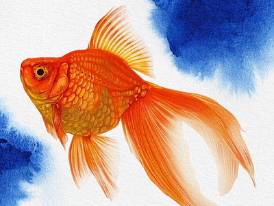 Goldfish Experiment