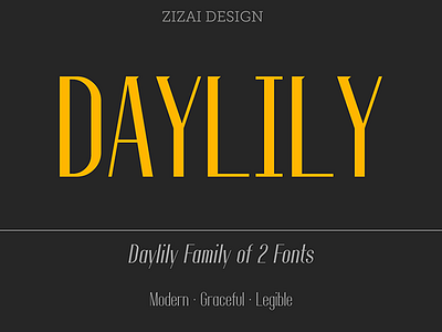 zz daylily fonts design font groceful legible modern zizai