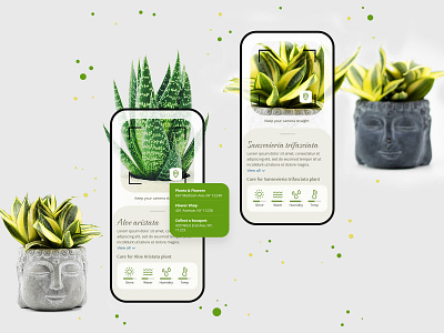 Flower APP Concept app appdesign appdevelopment application flower app mobile app design ui uidesign uiux ux