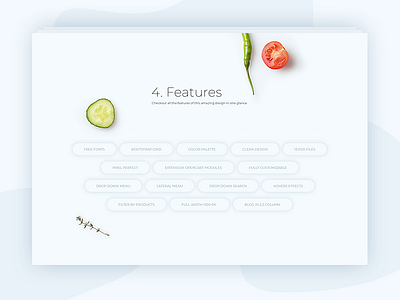 Features ecommerce food opencart template