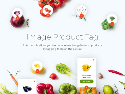 Avocado. Module Image Product Tag ecommerce envato envatomarket food module opencart template themeforest ui ux