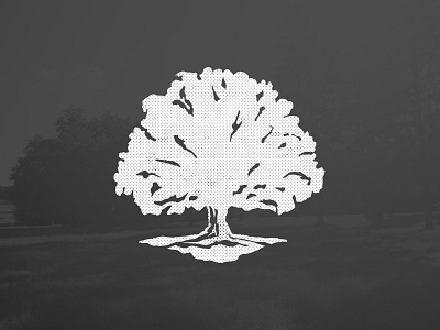 Tree-umph illustration logo tree vector woods