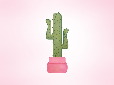 Pink Cactus