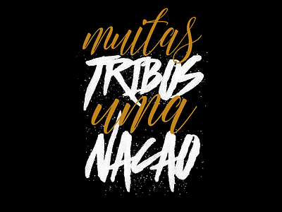 Camiseta - Muitas tribos uma nação