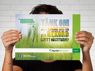 Syngenta Hyvido barley campaign art direction campaign graphic design