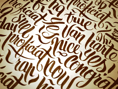 Brush Pen Exercise brush lettering brush script calligraphy custom type handlettering handstyle handwritten lettering script type design typography