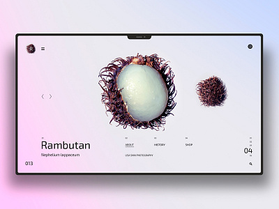 Rambutan design landingpage ui uidesign ux uxdesign website