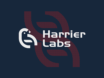 Harrier Labs Pattern bird bird icon graphic design logo logo design logodesign logomark logotype pattern pattern design typography