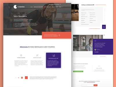 Consistem - Furniture Segment Page design erp landing page product page software systems ui ui design uidesign uiux user interface user interface design ux ux design uxdesign uxui