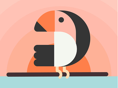 Bird adobe animation app bird design illustration illustrator iran pirate tehran ui web website