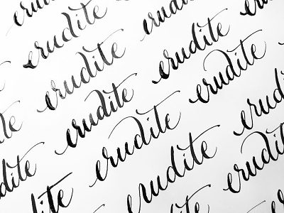 Erudite calligraphy daily practice erudite pointed pen script wordoftheday