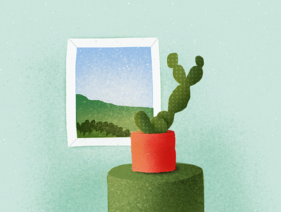 Cactus and the window cactus illustration nature window