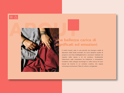 ZVLA PROJECT - About about fashion lookbook ui website