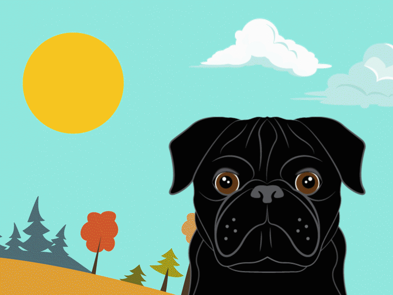 Pug at Sunset after effects animation dog illustraion illustrator