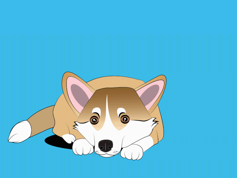 Corgi Wagging its Tail after effects animation illustrator