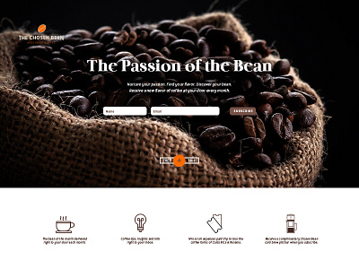 Passion of the Bean branding coffee design graphic design illustration landing page typography vector web design