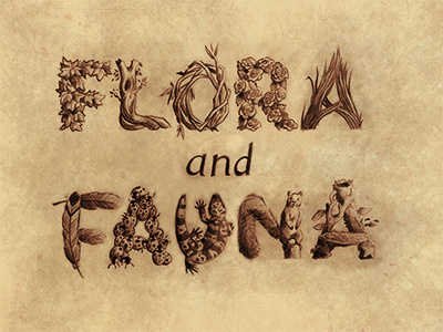 Flora And Fauna Shot graphic design hand lettering illustration typography