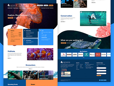 LLPA Aquarium aquarium card conservation fish homepage landing layout ocean sea wave website