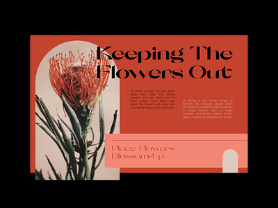 Poster Design - Flowers colors composition figma font graphicdesign mood photography poster typography
