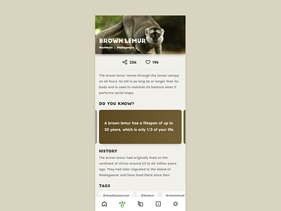Dribbble Debut! #1 Zoo App animal discover ui uidesign zoo