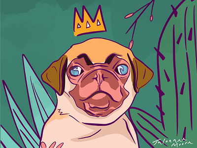 Fawn Pug animal digital art illustration pet procreate pug