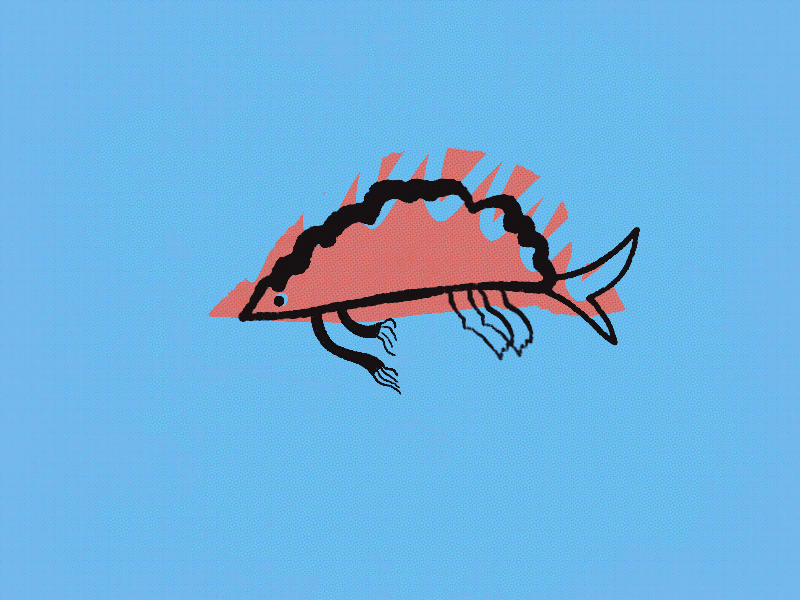 Rowing Fish Day animation app art character icon illustration illustrator ui web