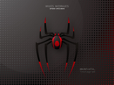 1/3 Spider Specimen: Miles Morales abstract logo animal animal character animal icon character clean design icon illustrator in to the spiderverse logo logo a day logotype marvel spider spiderman vector