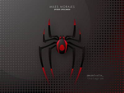 1/3 Spider Specimen: Miles Morales