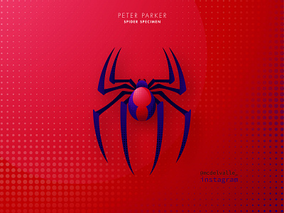 3/3 Spider Specimen: Peter Parker abstract logo animal animal character animal icon clean icon illustrator logo logo a day logotype marvel spider spiderman spiderverse vector
