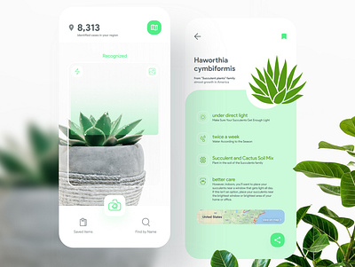 Plant ID 2020trend adobexd app app design app screen clean app color design flat frebie icon minimal app design plant product scan trending design ui uitrend ux