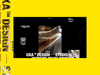DESIGN STUDIO branding design designs illustration logo photoshop shot ui ux web