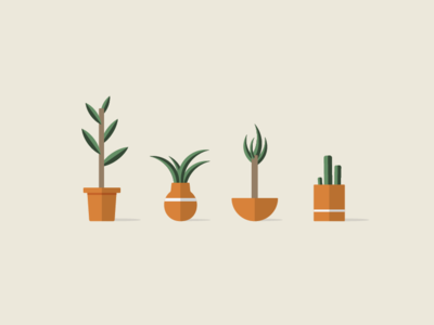 Plants in Pots 🌵