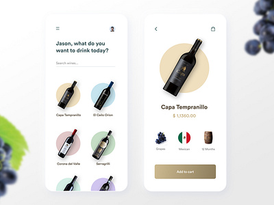 Wine Store App Concept 🍷