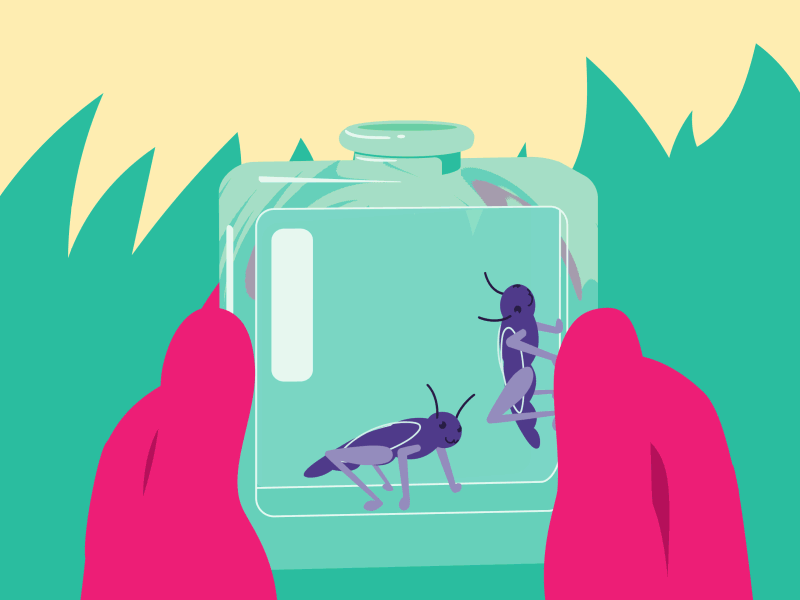 Grasshoppers 🦗 2danimation animation digital grasshopper illustration motiondesign motiongraphics