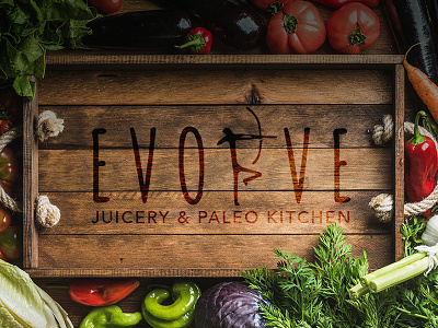 Evolve Paleo Foods | Brand Identity brand guide brand identity branding freelance design graphic design logo design menu design paleo foods redesign ui design visual arts web design
