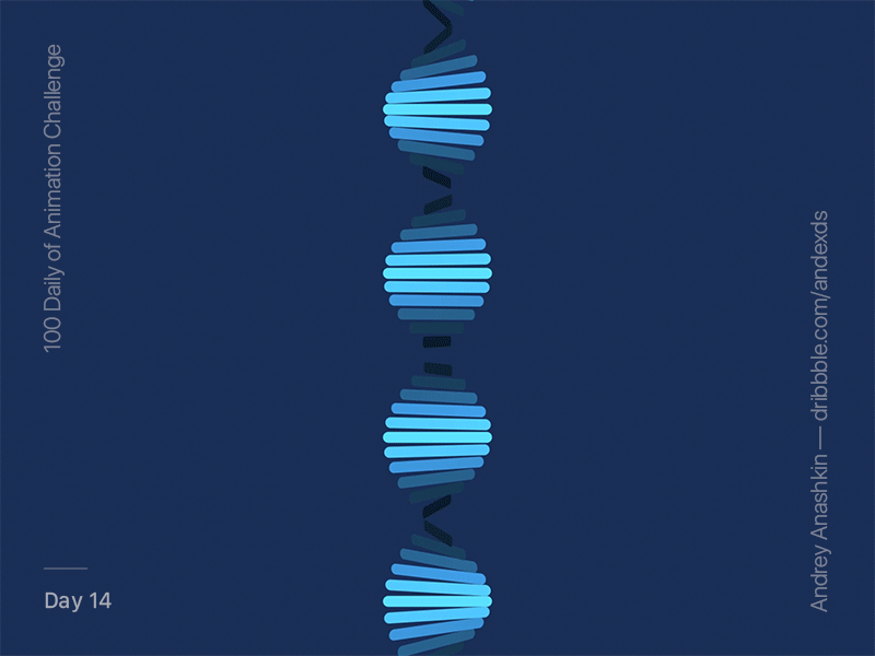 14 day of Animation Challenge load concept ui challenge animation after effect