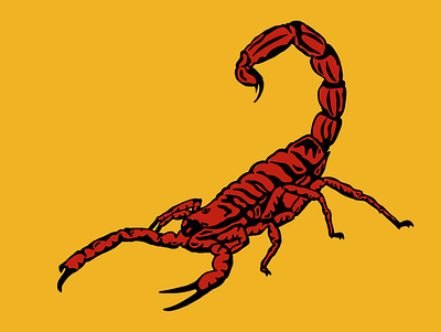 This is a scorpion design illustration orange random red scorpion sketch
