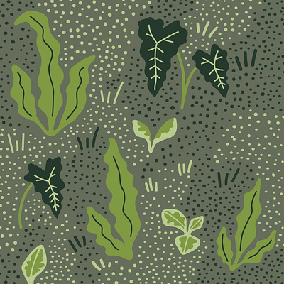 Haus Plantz Surface Design Sketch design illustration pattern plants surface design texture