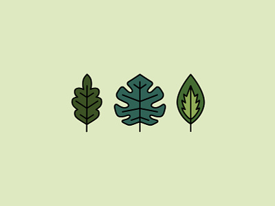 Minimaleaf clean design illustration minimal minimalist plants vector