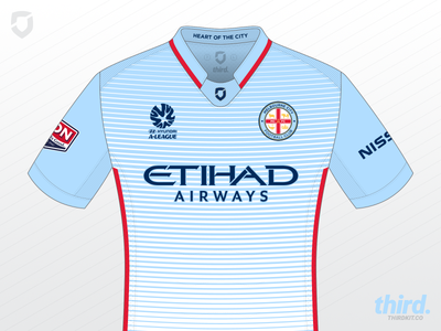 Melbourne City FC home kit concept