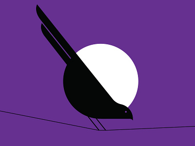 Bird on a wire bird illustration night vector