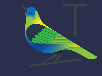 Tanager bird illustration vector